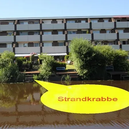 Strandkrabbe *