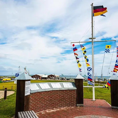 Strandkrabbe