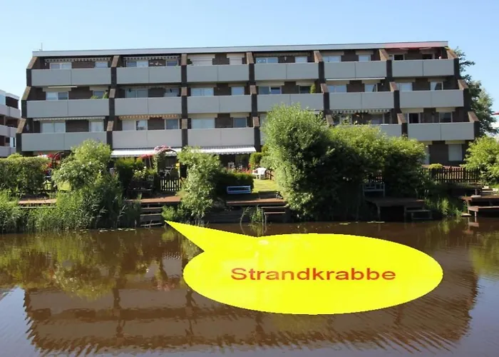 Strandkrabbe *